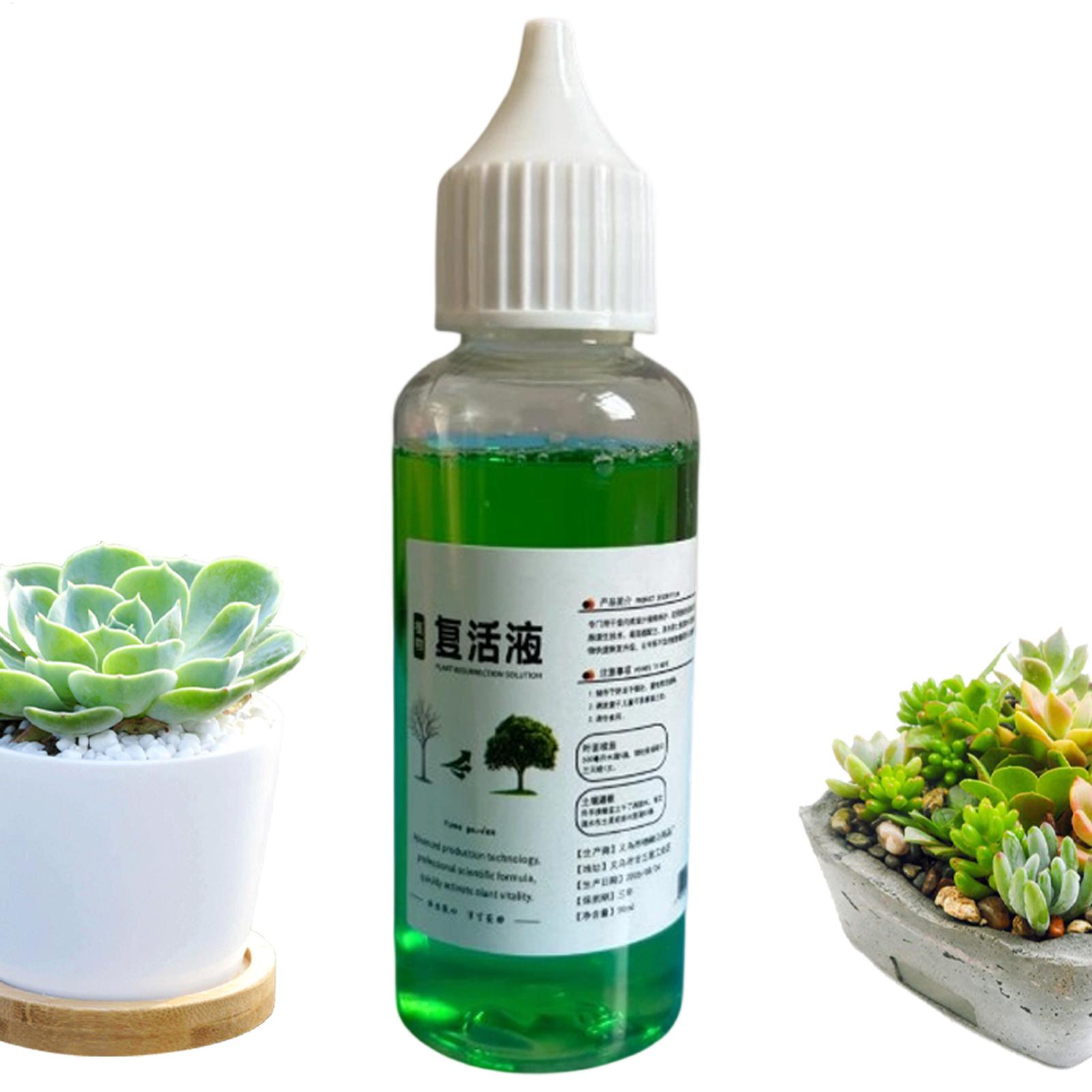 Root Stimulator Liquid - Estimulador de Raízes para Plantas, Agente